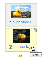 uploadedimagesappear uploadedimagesappear