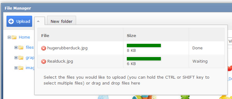 uploadstheimages uploadstheimages